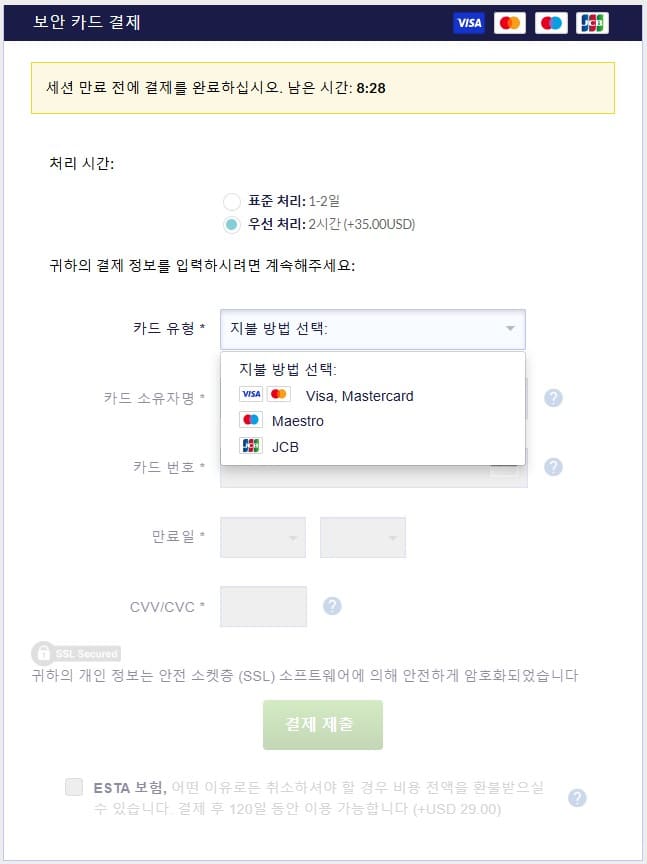카드 선택 및 CVV 필드가 있는 ESTA 신청 결제 양식